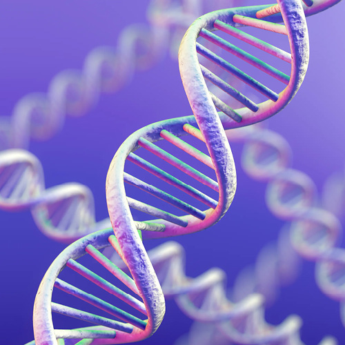 Immagine della riproduzione del DNA